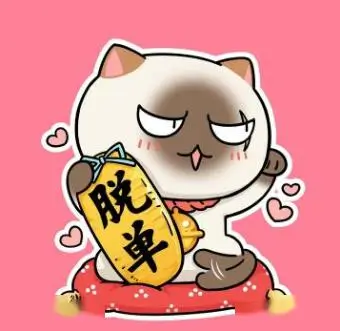山城的猫的头像